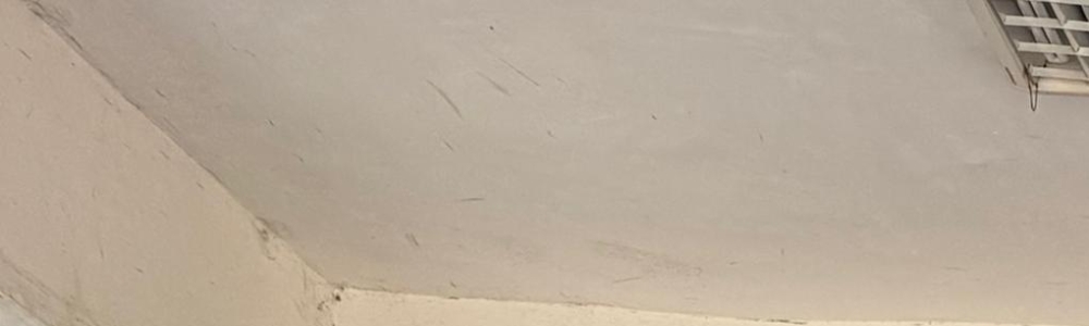 User banner image