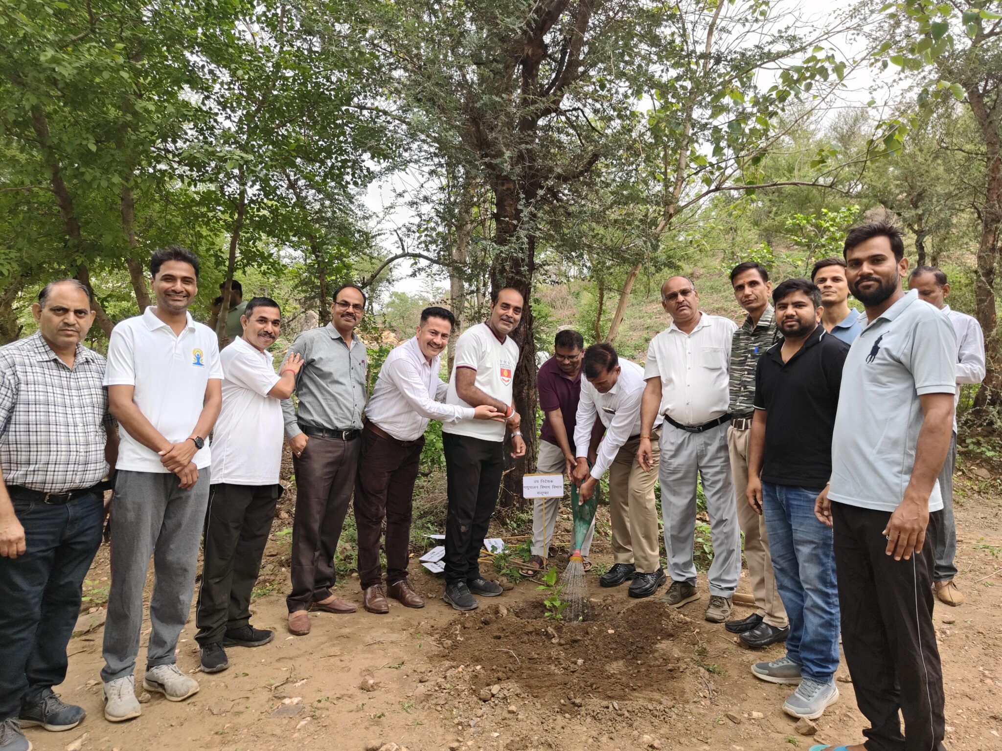 हरित सलूम्बर की मुहिम को मिला प्रशासन का संबल, अधिकारियों ने रोपे पौधे